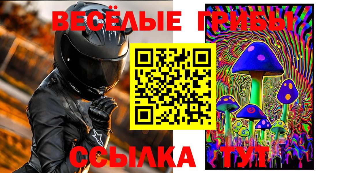 Элиста  Галлюциногенные грибы Cubensis  Вход с VPN  Псилоцибиновые грибы Psilocybine cubensis 